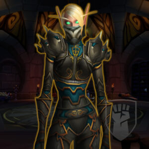 Rogue tier 3 Bonescythe Armor set for WoW